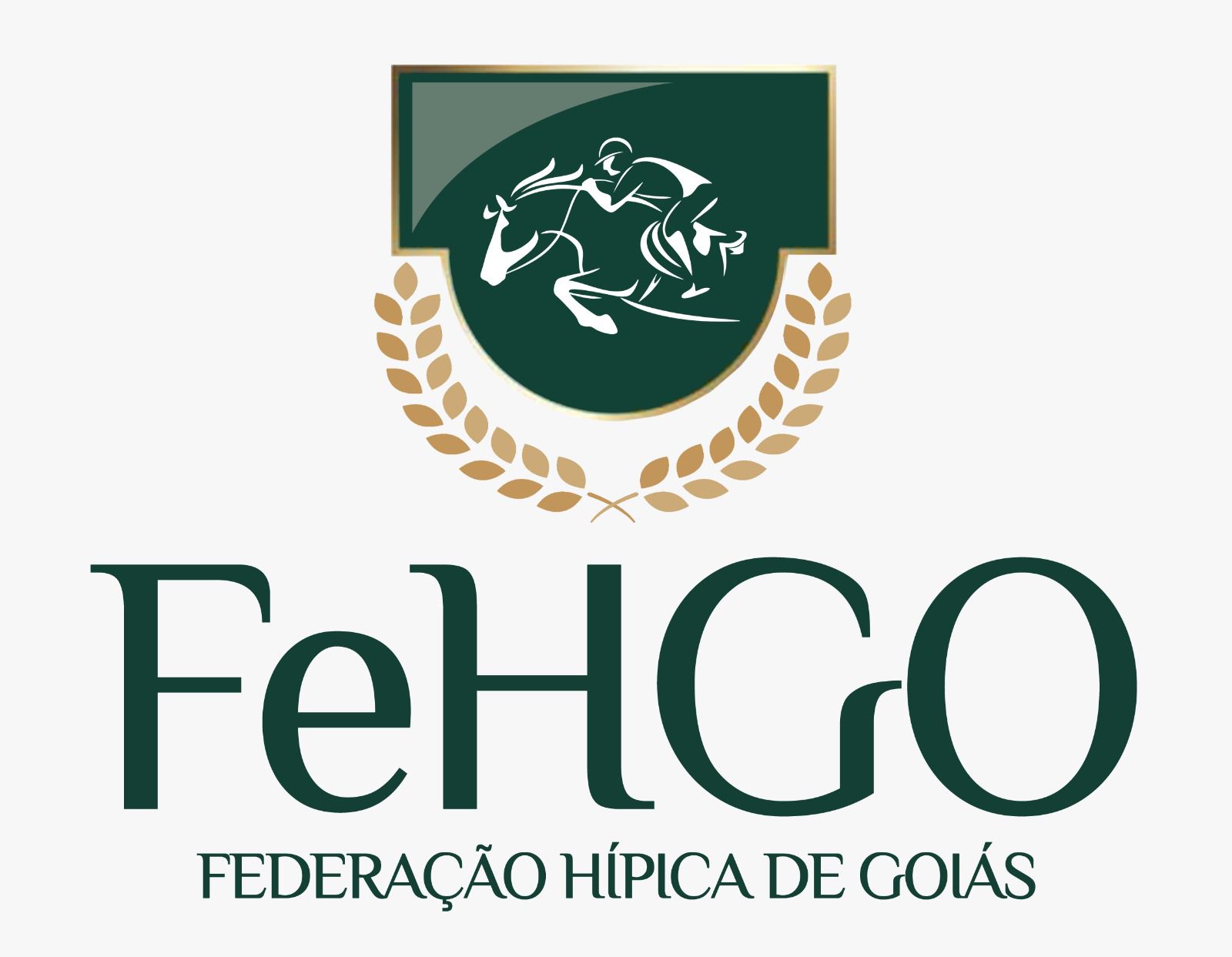 FEDERAO HPICA DE GOIS